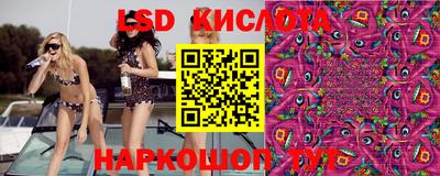 дживик Донской