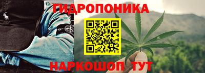 индика Донецк