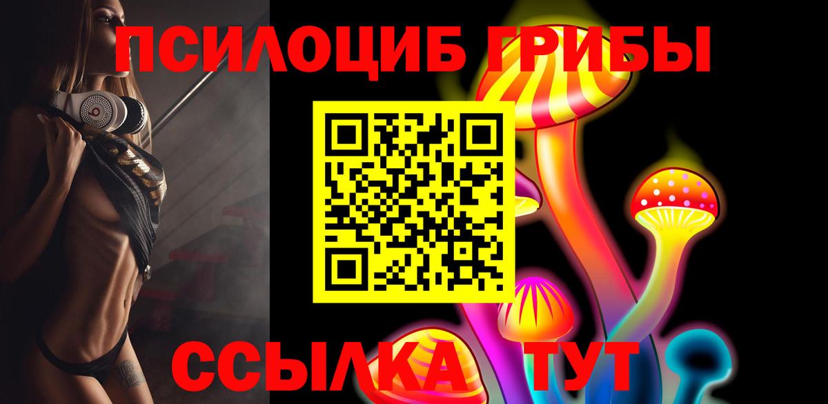 Мыски  Псилоцибиновые грибы ЛСД  как найти   Вход с VPN 